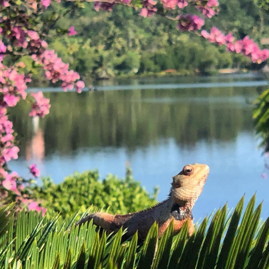 Kalla Bongo Lake Resort Hikkaduwa Bagian luar foto